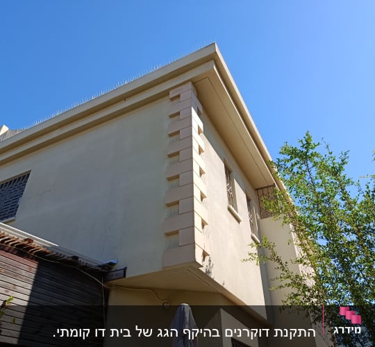 דוקרנים על גג למניעת יונים